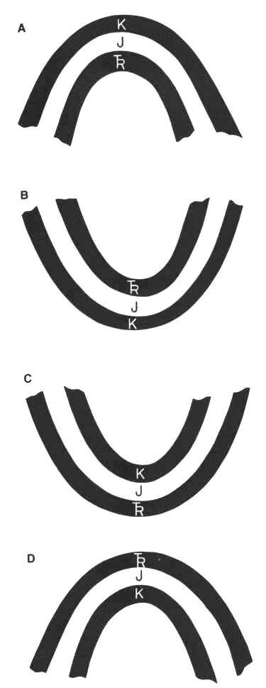 Fig. A - Classificação de Dobras. A camada mais antiga é do Triásico (TR); a camada mais recente é do Cretácico (K); a camada intermédia é do Jurássico (J). A - anticlinal; B - Sinforma anticlinal; C - Sinclinal; D - Antiforma sinclinal.